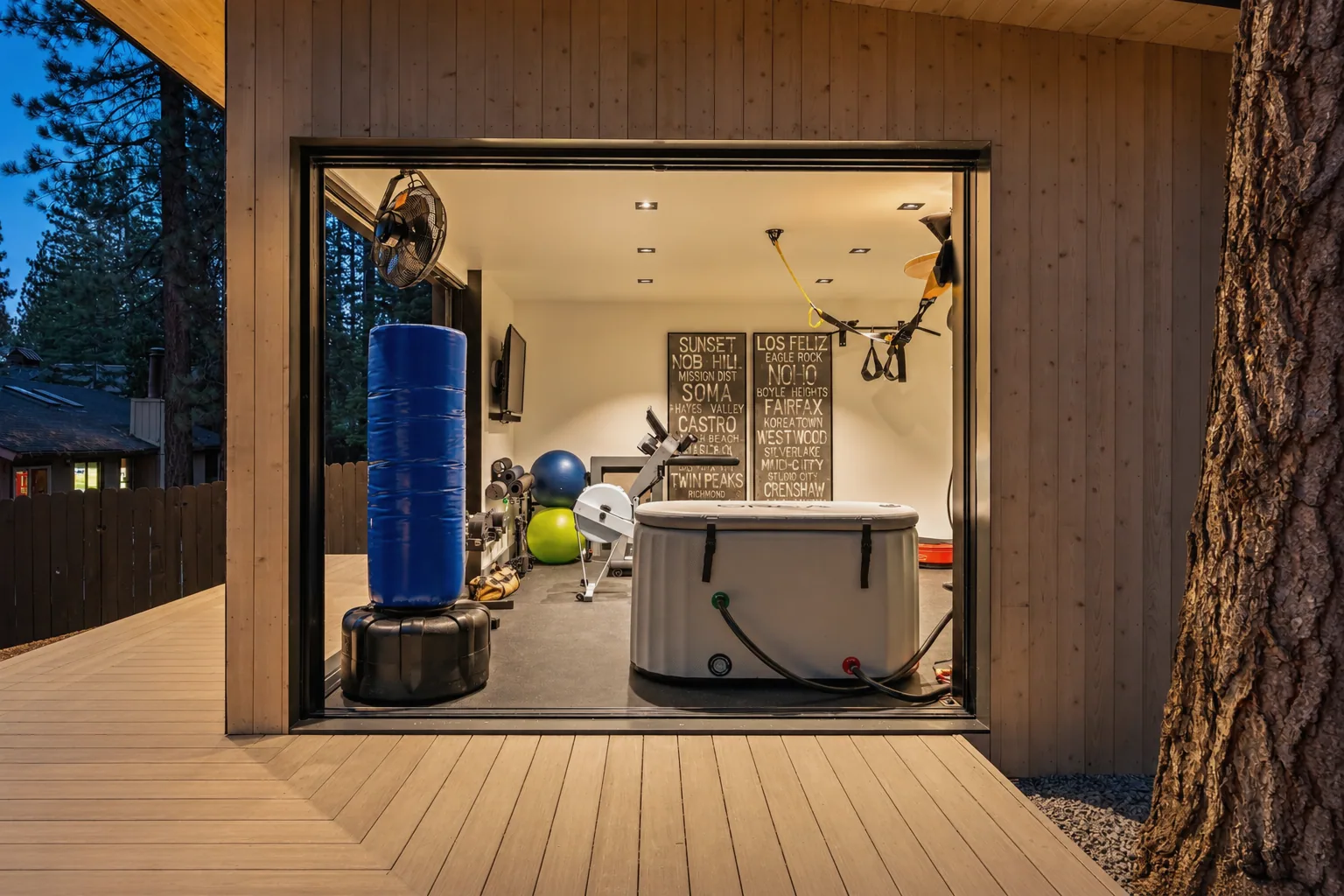 Modern Twilight Home Gym and Spa